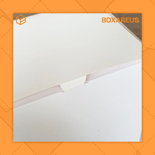 Cake Box - CB202016 White (10 Pc)