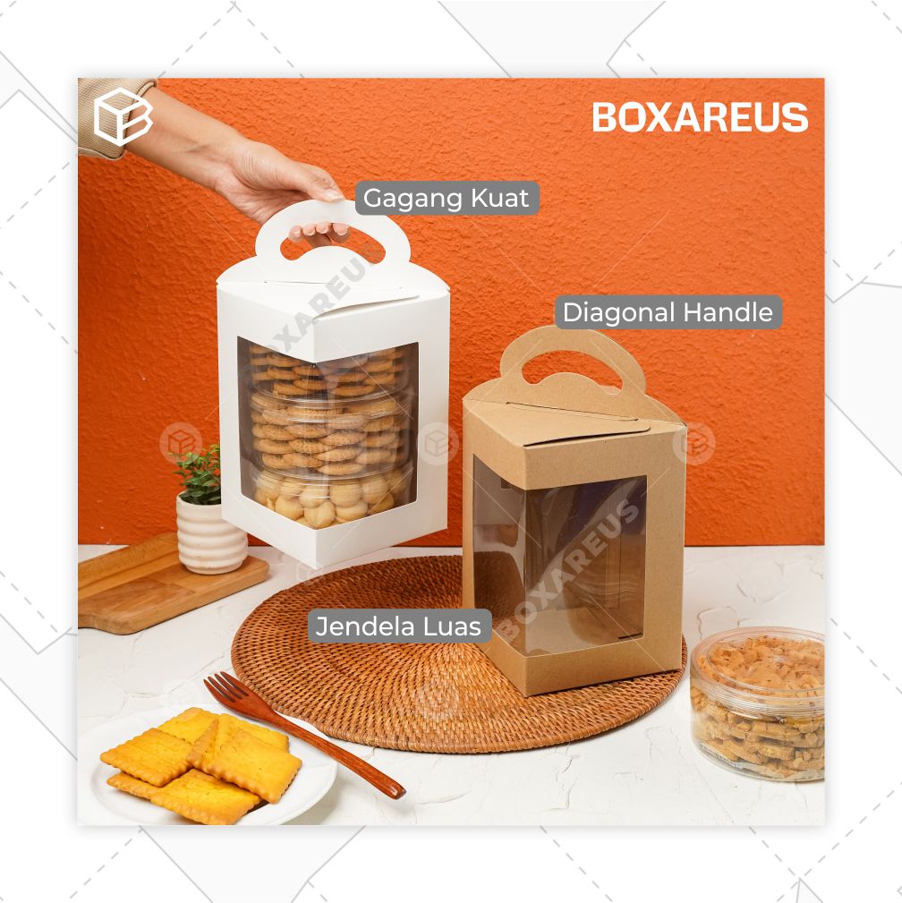 Toples Box - TB Diagon 21 (10 Pc)
