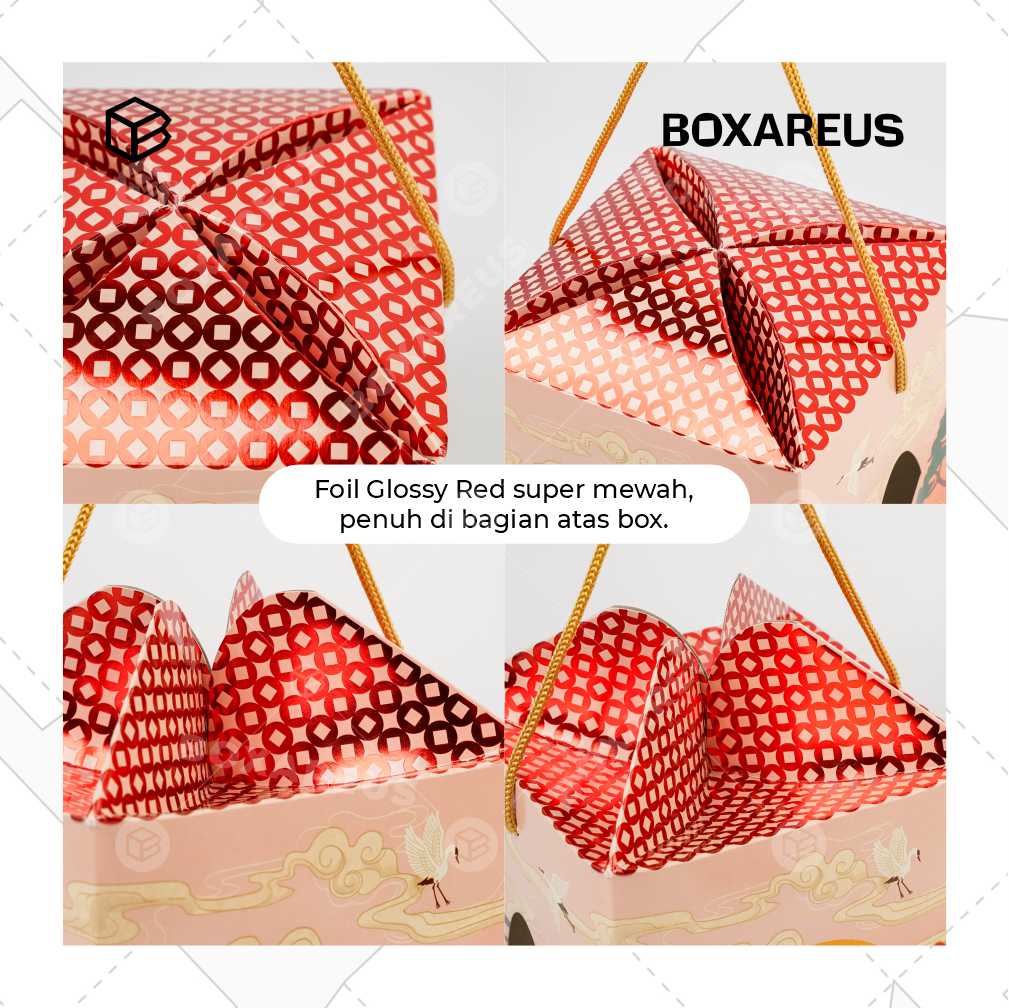 Toples Box - TBL Shan (10 Pc)