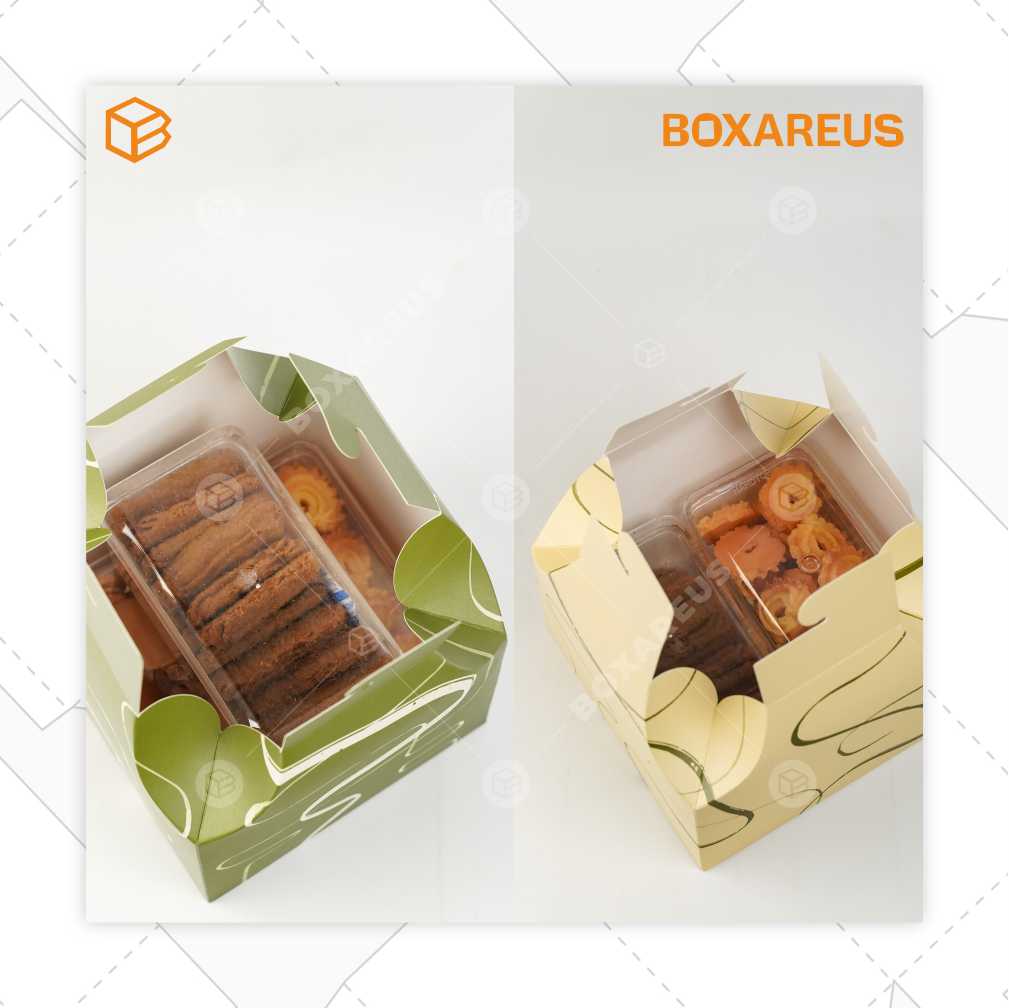 Toples Box - TB Dome (10 Pc)