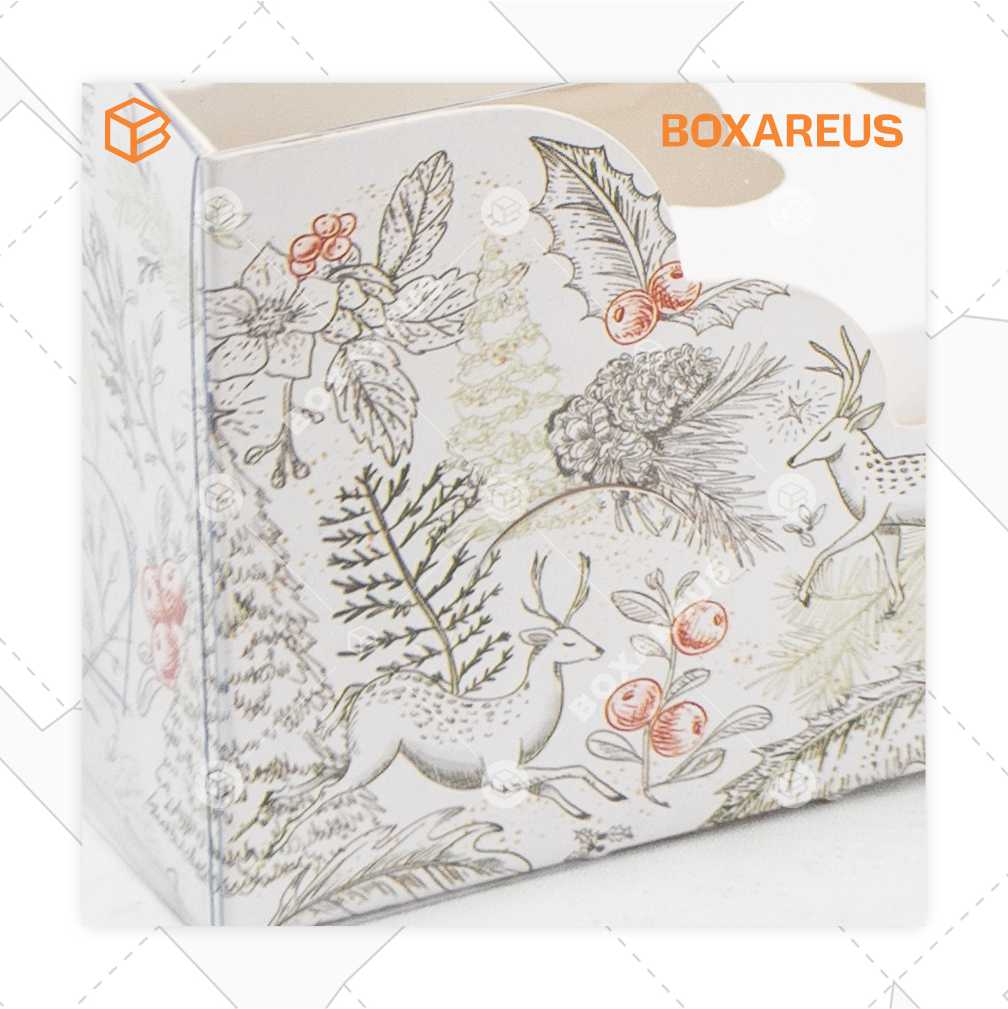Cupcake Box - WBC Multi 3 (10 Pc)