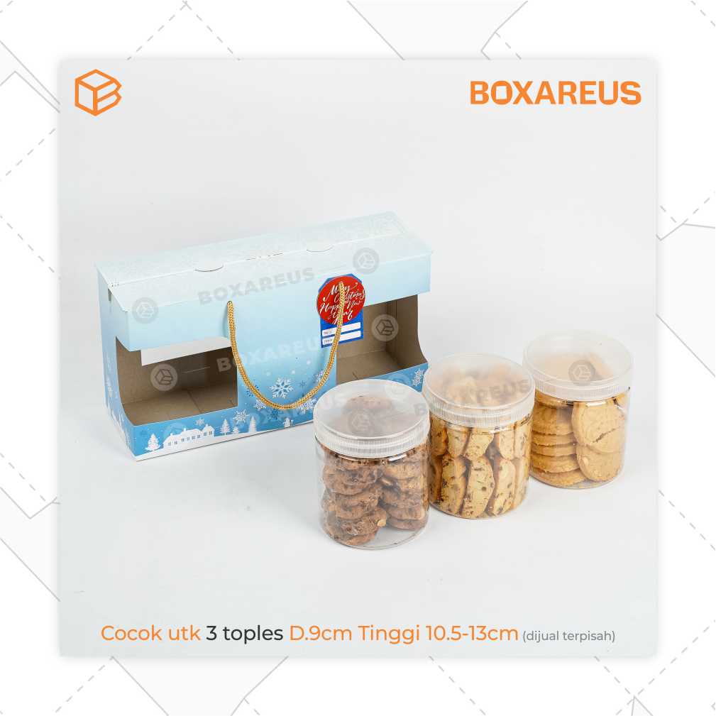 Paper Bag Toples - PB139228 Winter Wonderland (10 Pc)