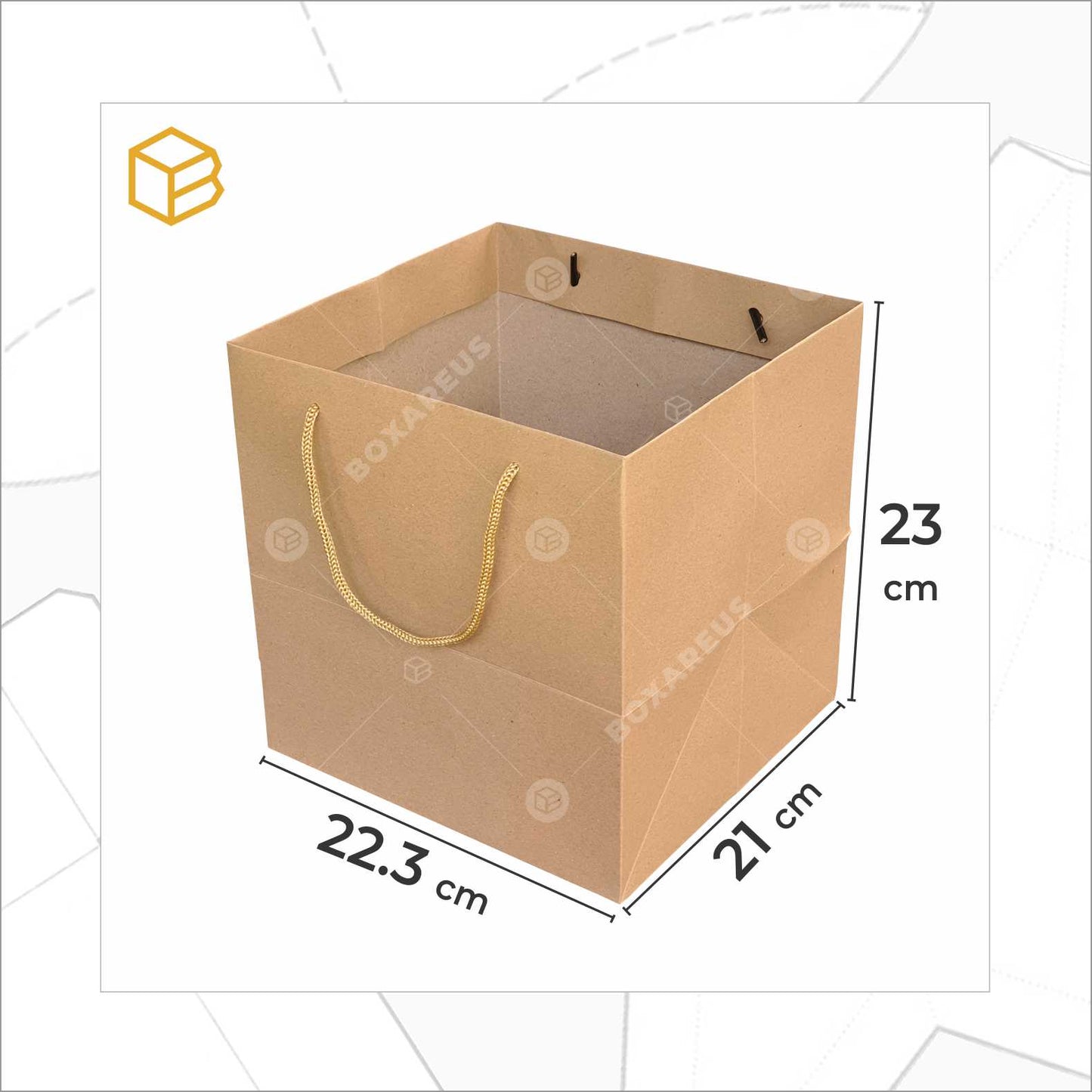 Paper Bag - PB202023 (10 Pc)