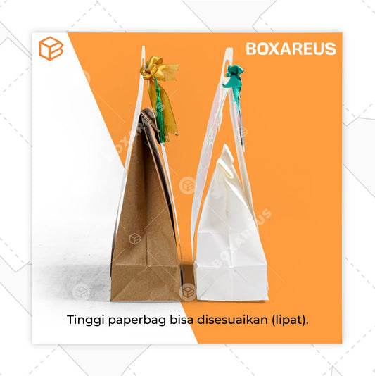 Paper Bag Full Handle - PBFH3020 (20 Pc)