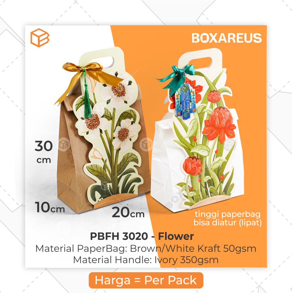 Paper Bag Full Handle - PBFH3020 (20 Pc)