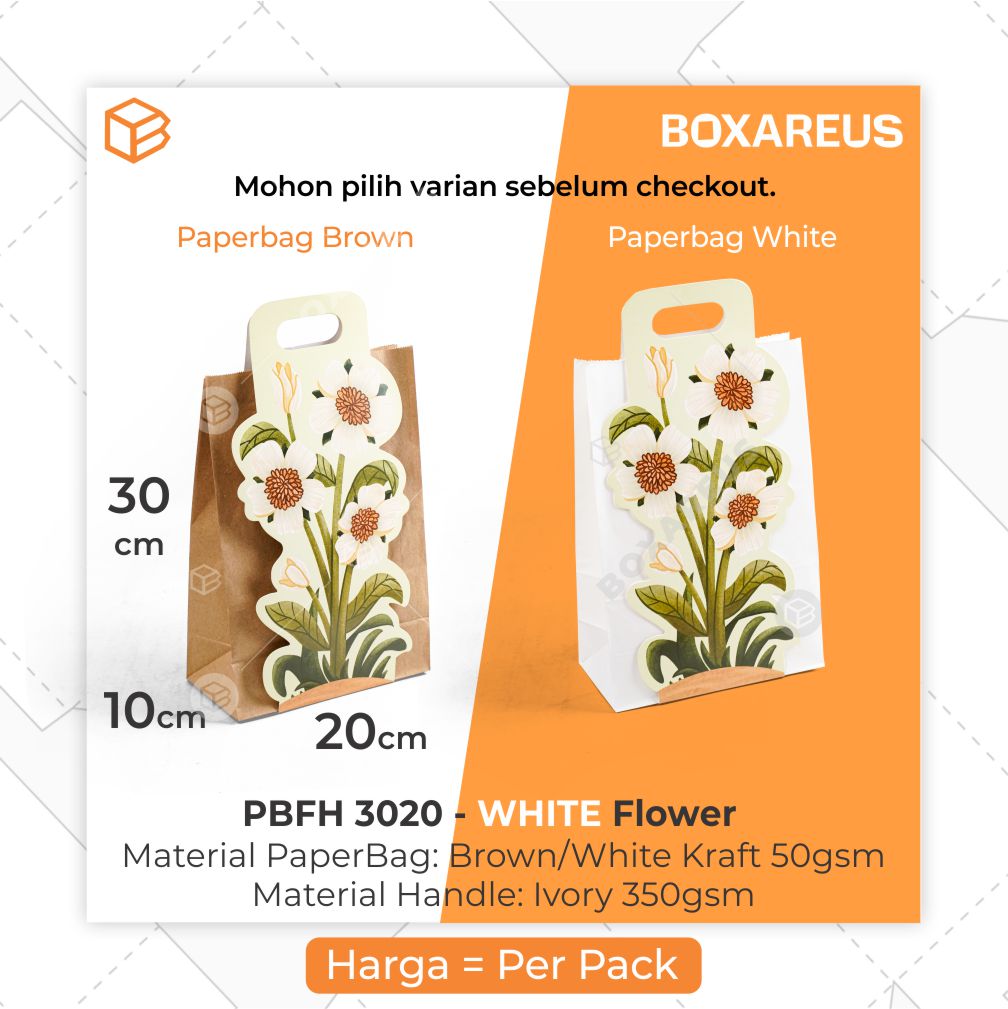 Paper Bag Full Handle - PBFH3020 (20 Pc)