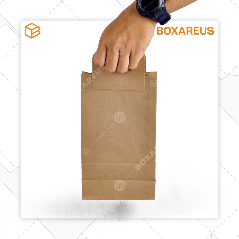 Paper Bag - PBSH2313 Brown (100 Pc)