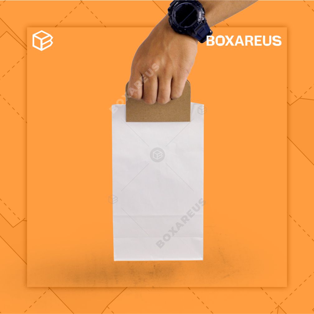 Paper Bag - PBSH2313 White (100 Pc)