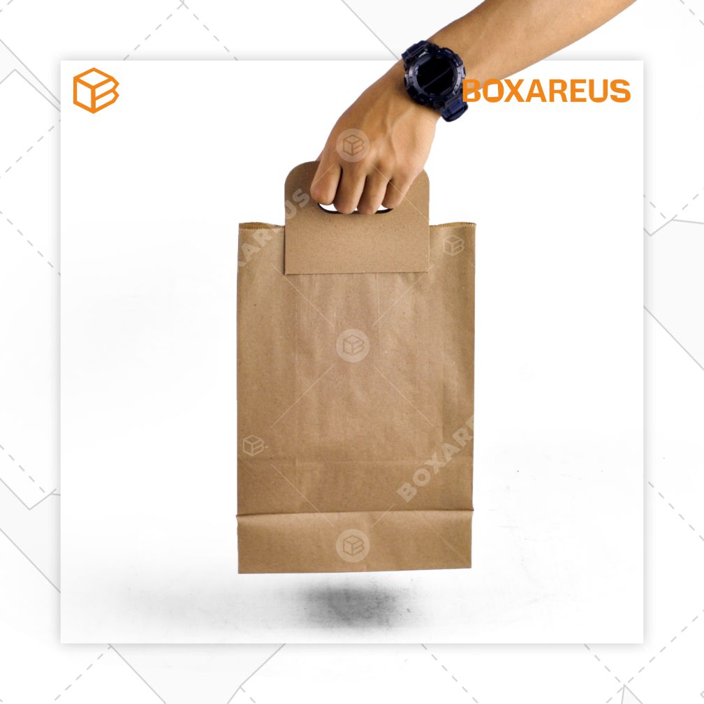Paper Bag - PBSH3020 Brown (100 Pc)