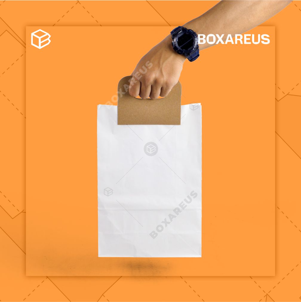 Paper Bag - PBSH3020 White (100 Pc)
