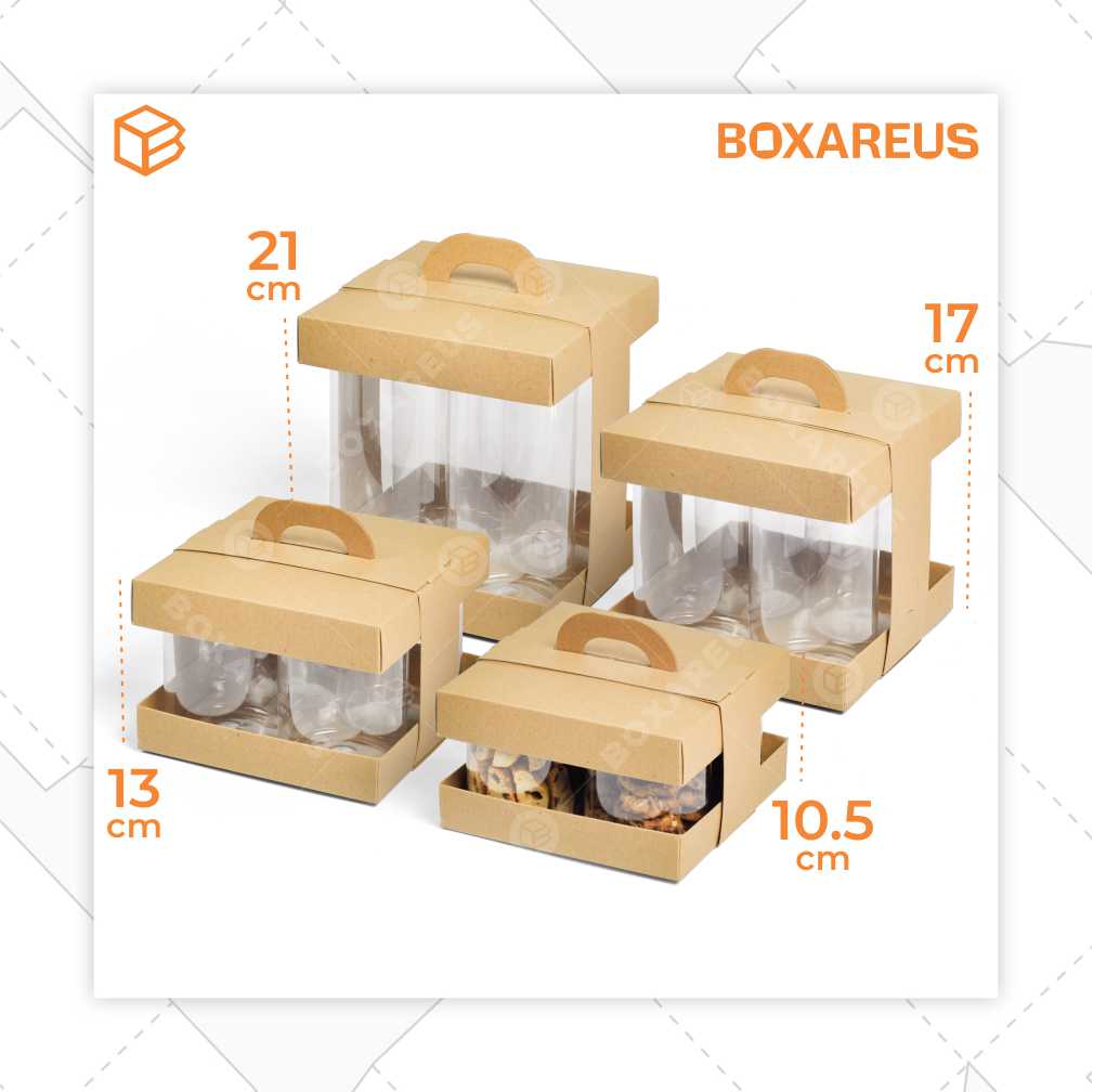 Toples Box - TJ186186 (10pcs)