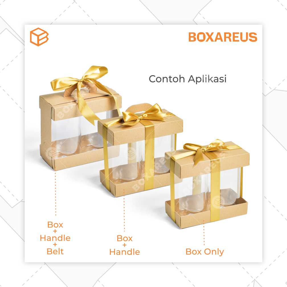 Toples Box - TJ94187 (10 Pc)
