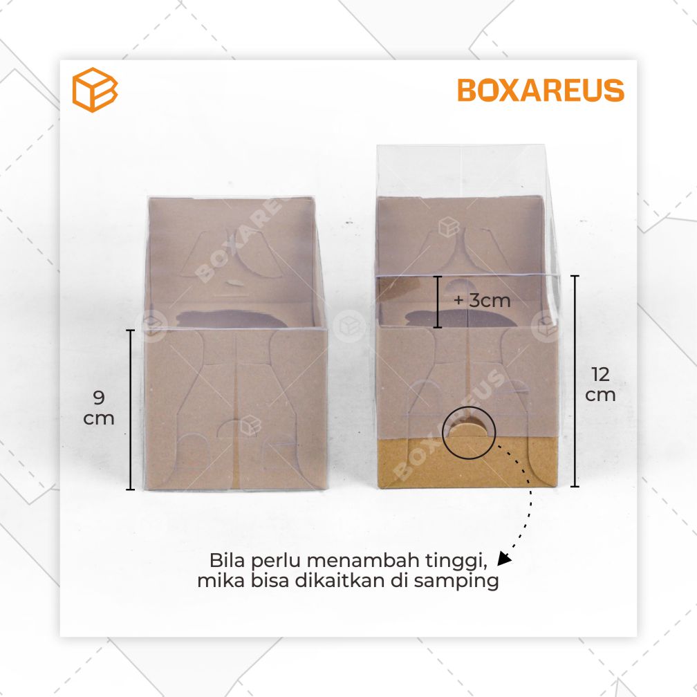 Cup Cake Box - WB170909 (10 Pc)