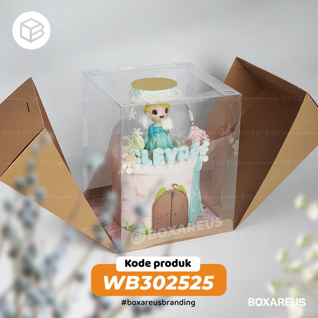 Cake Box - WB302525