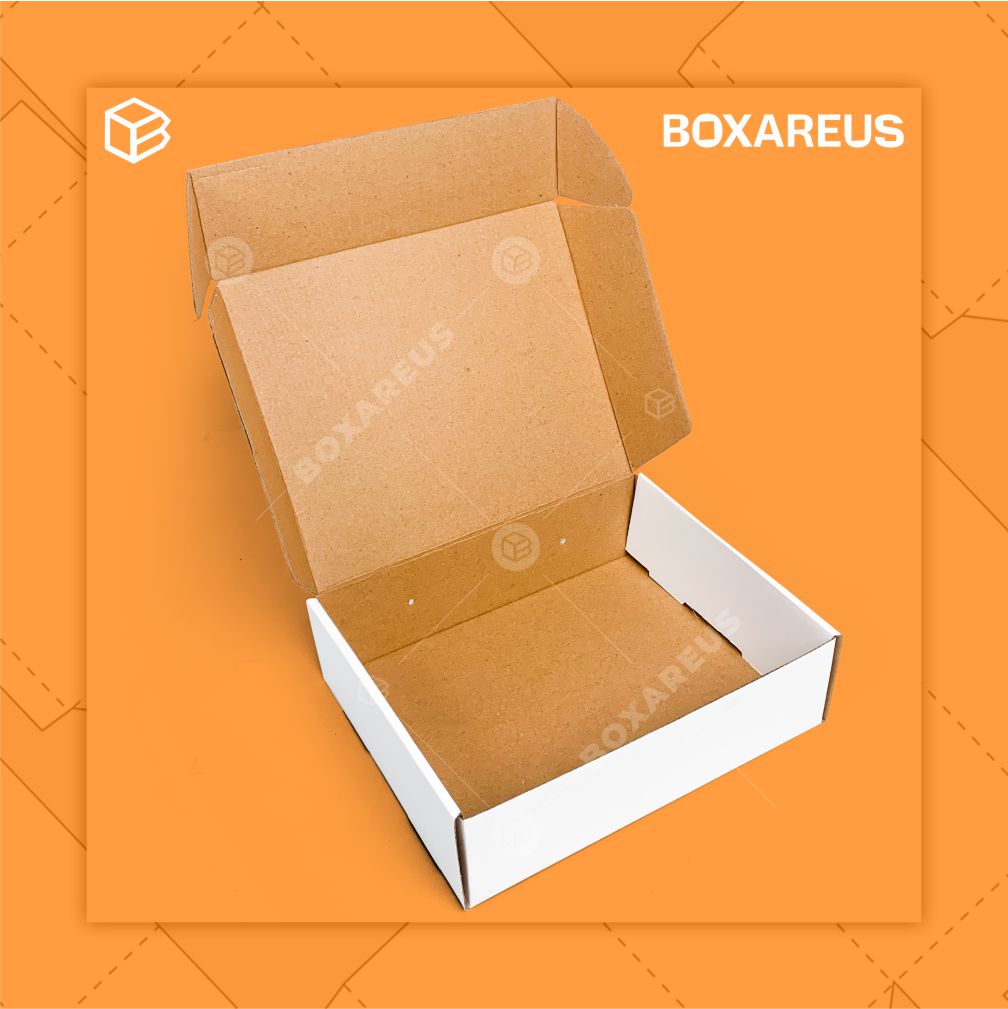 Multipurpose Box - 370704 (10 Pc)