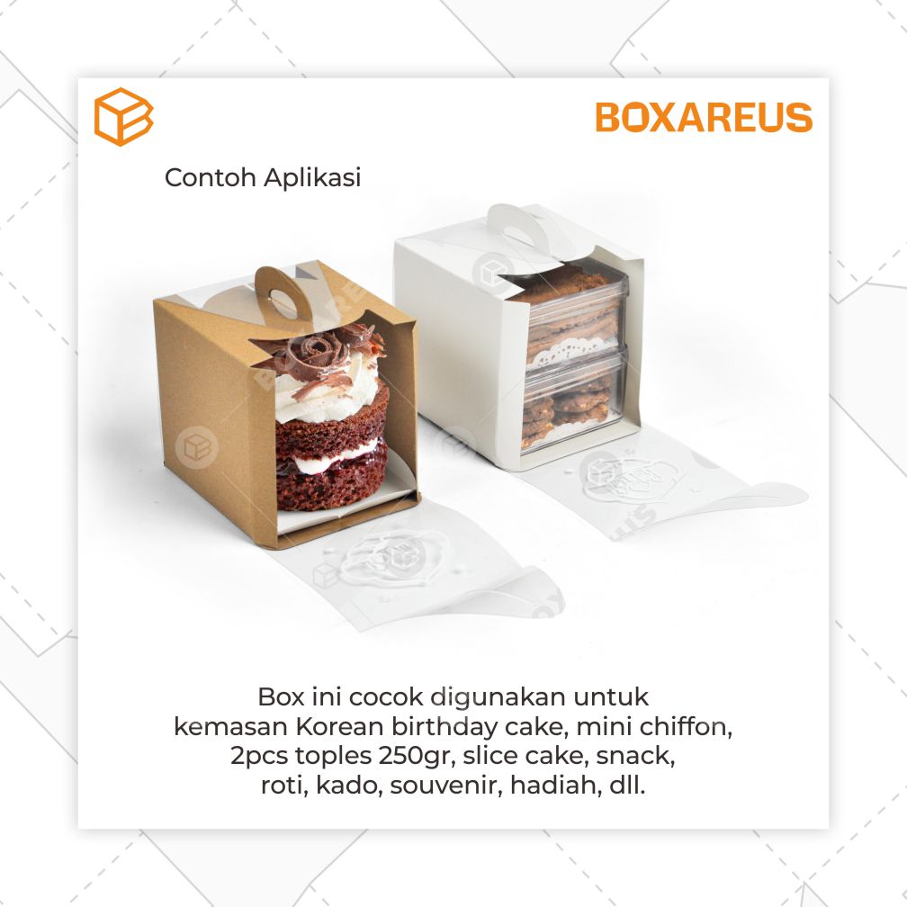 Toples Box - 41212 (20 Pc)