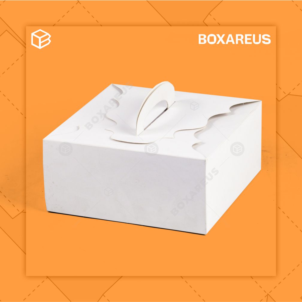Cake Box - 42210 White (10 Pc)