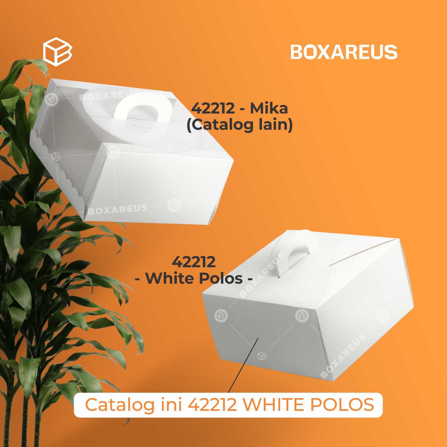 Cake Box - 42212 White (10 Pc)