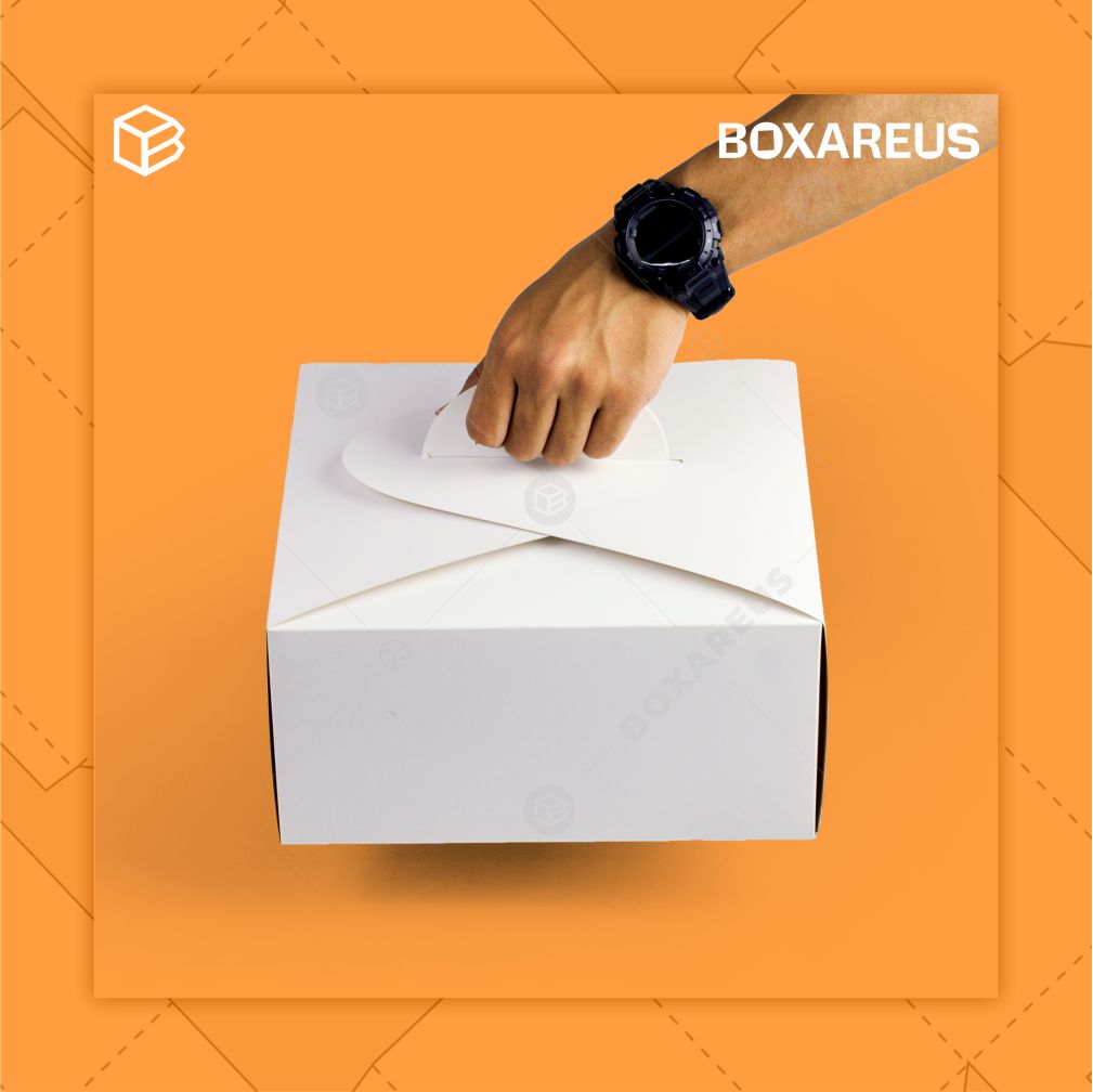 Cake Box - 42512 White (10 Pc)