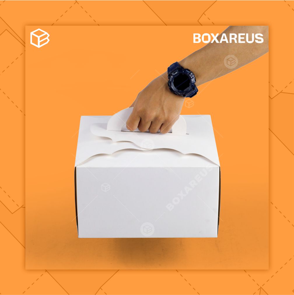 Cake Box - 42514 White (10 Pc)