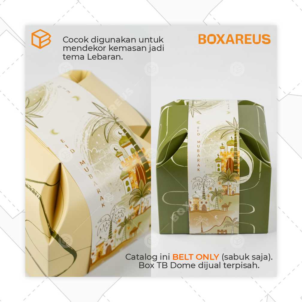 Paper Belt - TB Dome Belt Only (10 Pc)