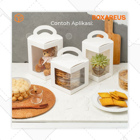 Toples Box  - TB Diagon 21 (10 Pc)