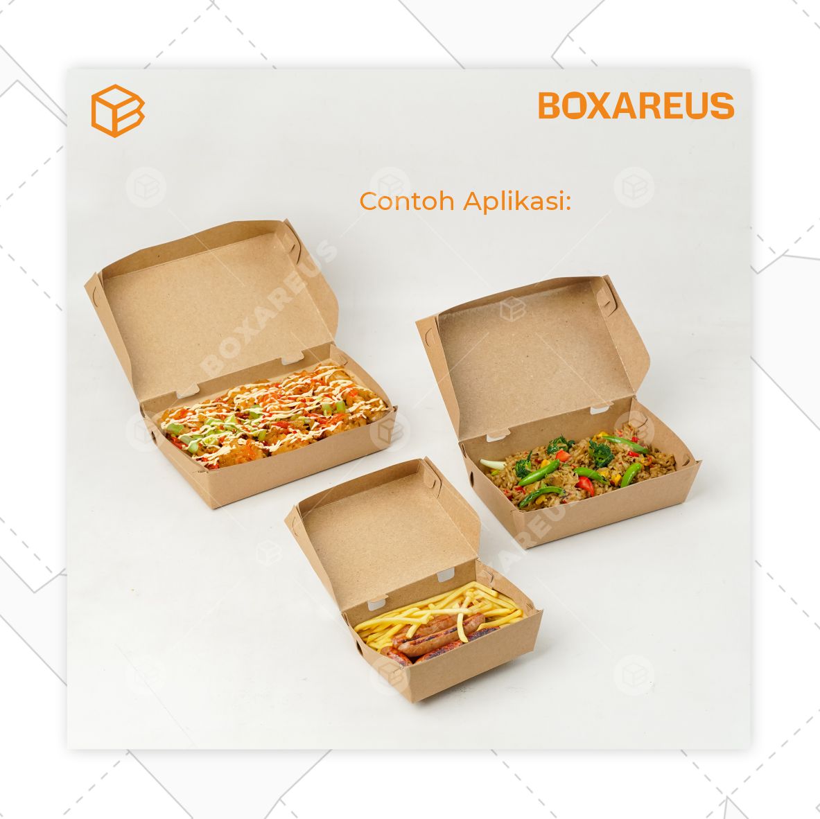 Lunch Box - FP Lunch Box (50 Pc)