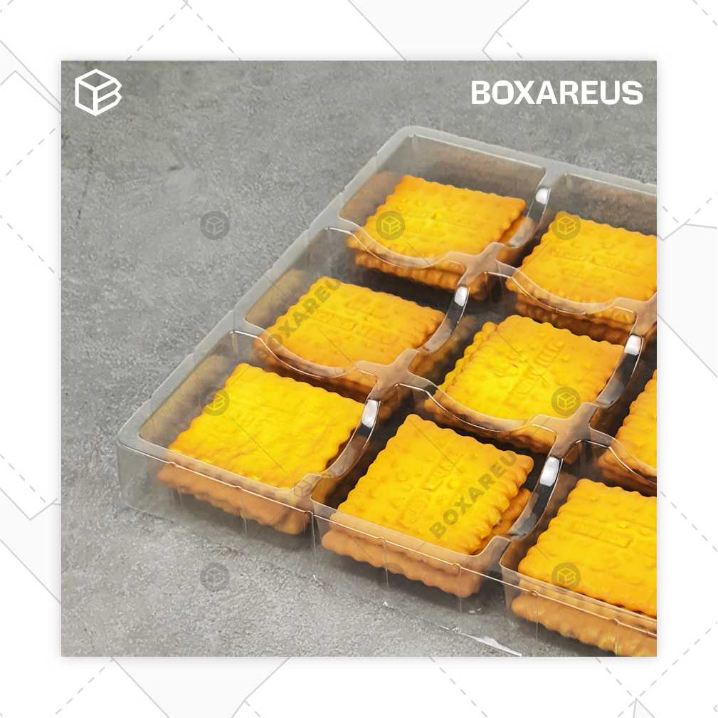 Plastik Tray Puding - PTP Kotak Sekat (50 Pc)