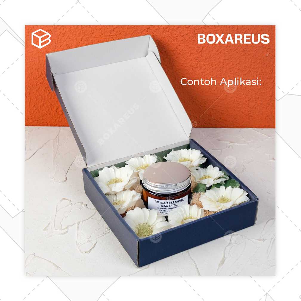 Pizza Box - PZ202005 (10 Pc)