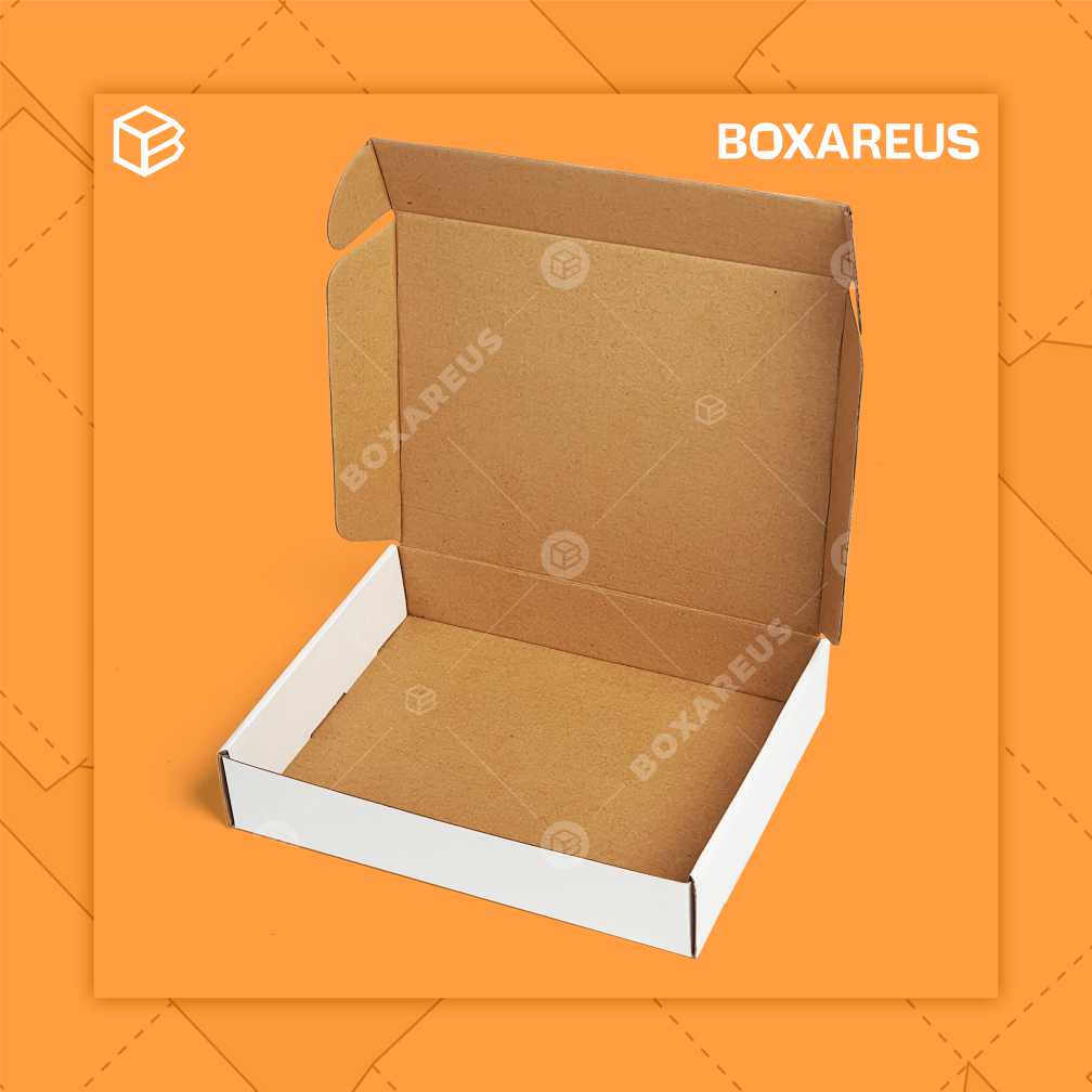 Multipurpose Box - PZ252005 (10 Pc)
