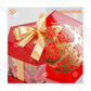 Toples Box - TB Hexagon Peony (10 Pc)