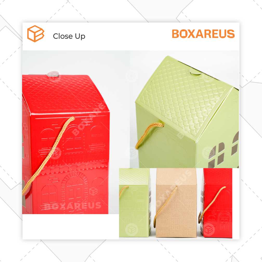 Toples Box Thinwall - TB House (10 Pc)