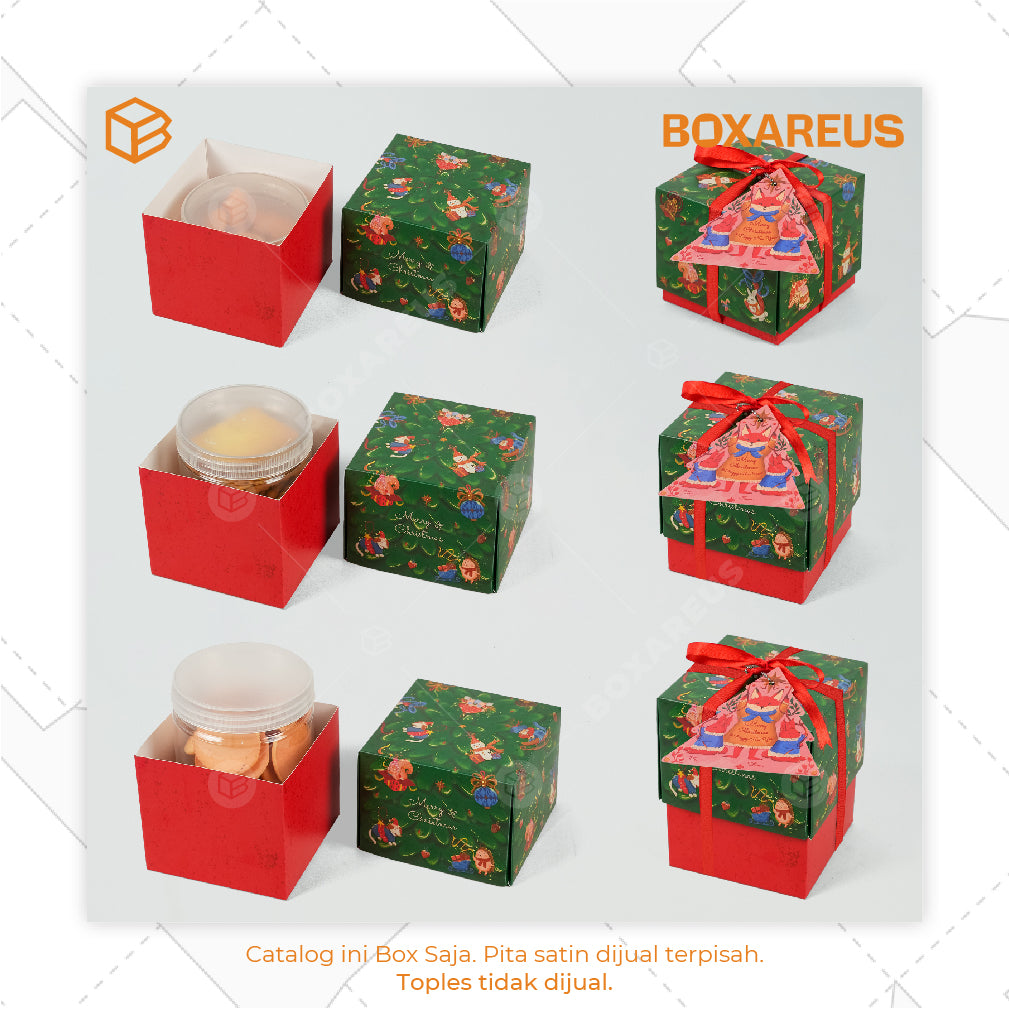 Toples Box - TB IVY (10 Pc)