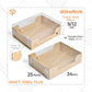 Pudding / Cup Cake Box - WB MULTI 12 (5 Pc)