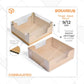 Pudding / Cup Cake Box - WB MULTI 9 (5 pc)
