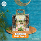 Window Box Toples - WB Top2 Green Belt Eid (10 Pc)