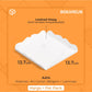 Alas Kue - AA14 (50 pc) - White
